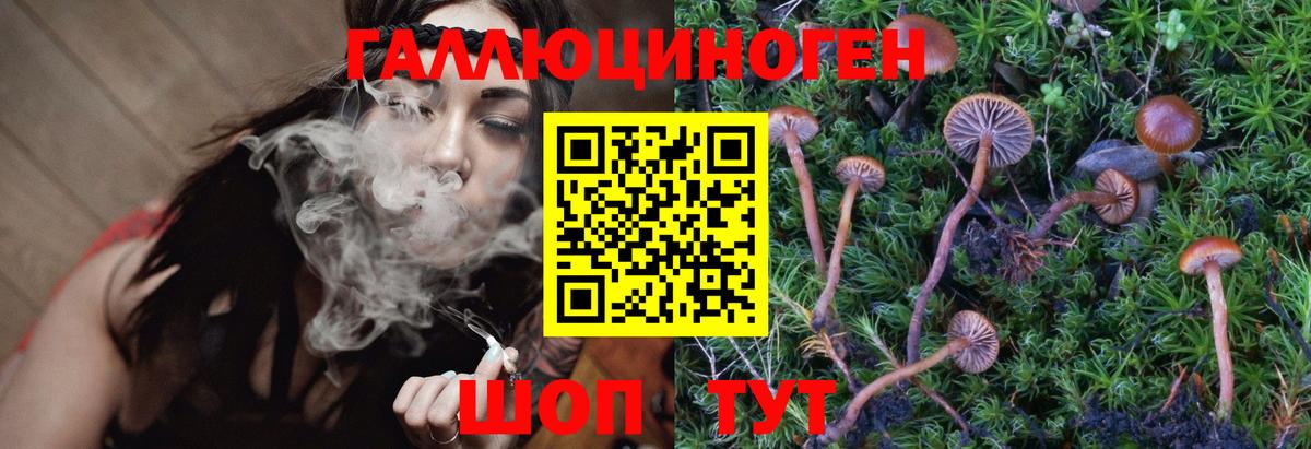 Гусев  Галлюциногенные грибы Magic Shrooms  Вход с VPN 